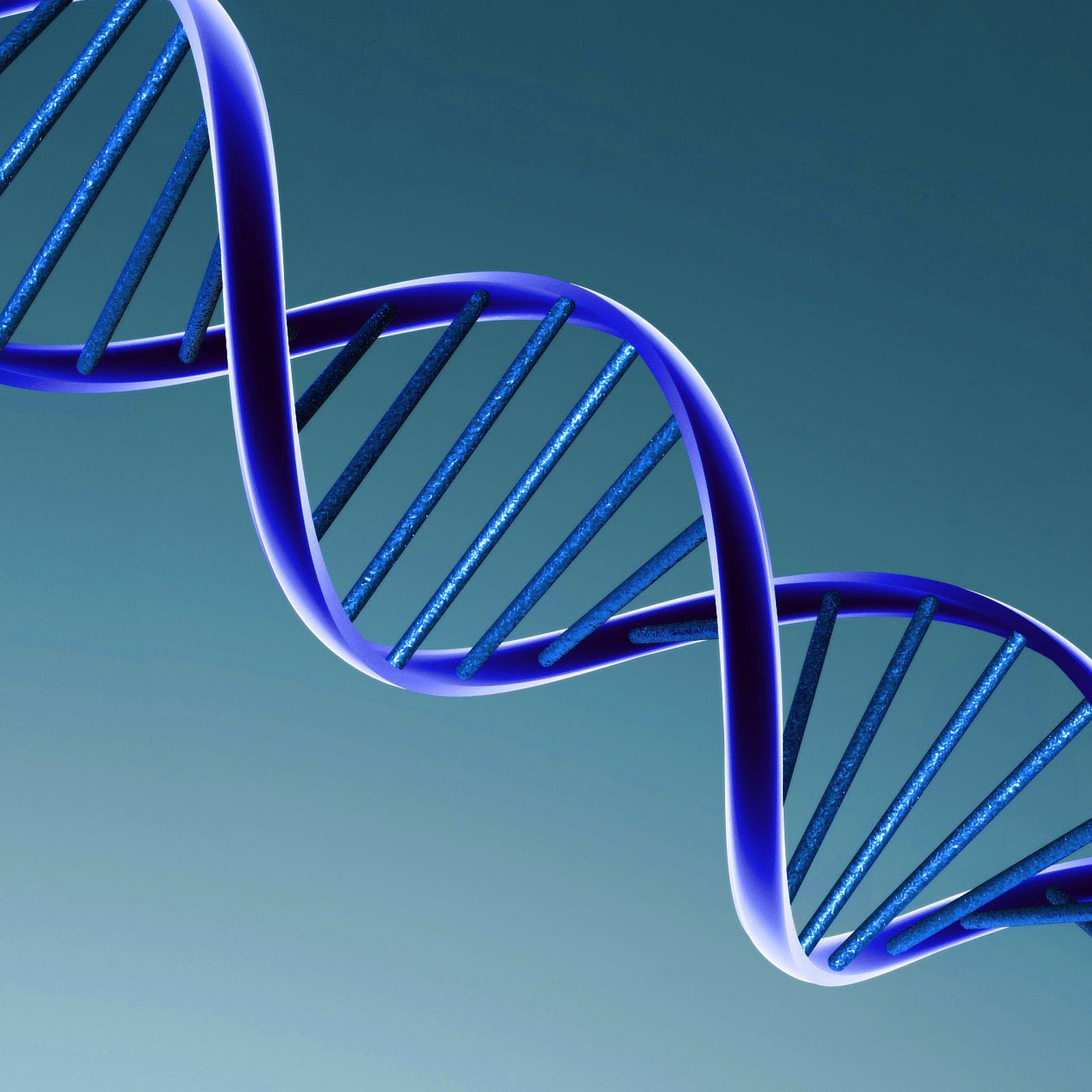 植物蛋白提取试剂盒（去叶绿素）