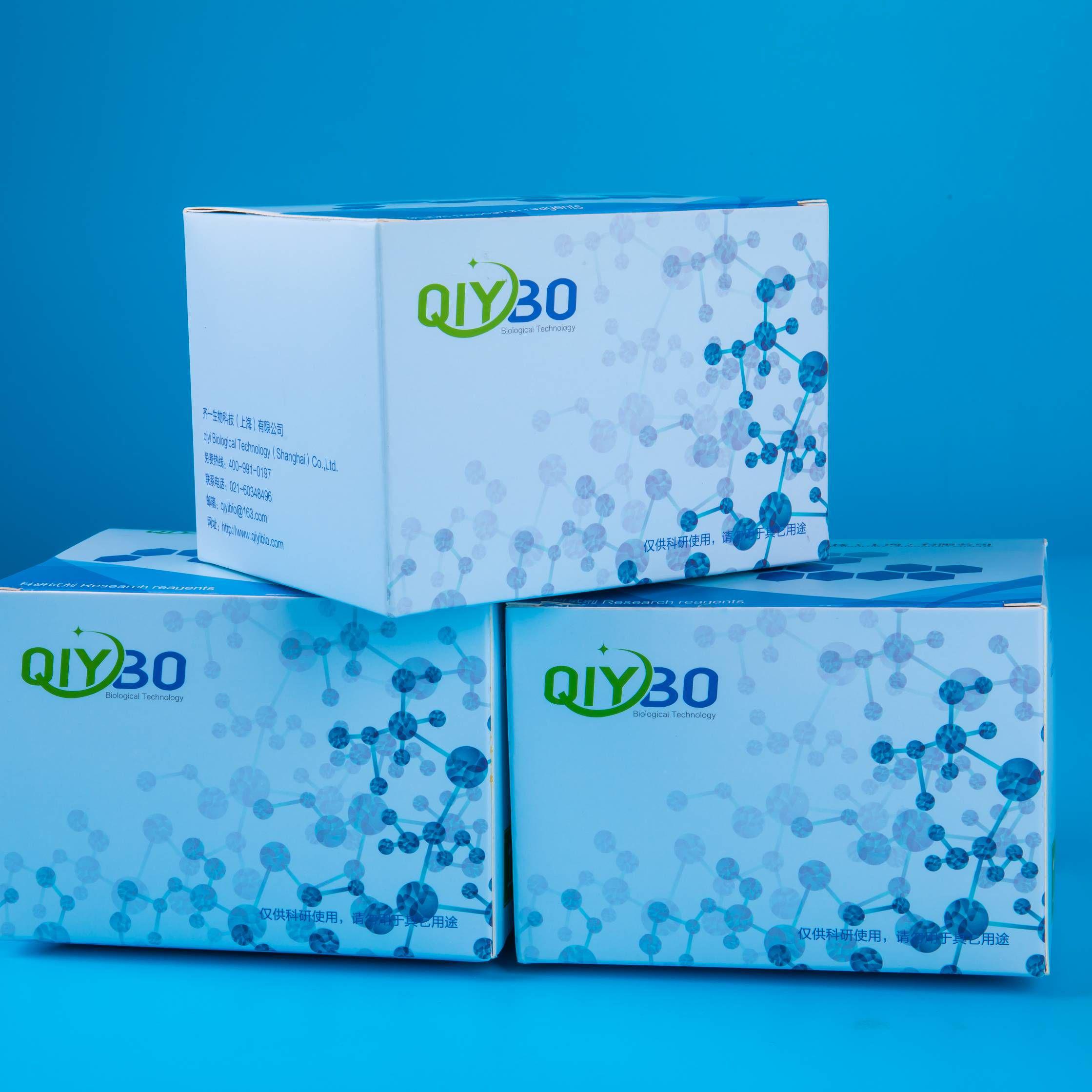 马铃薯（potato）完全培养基