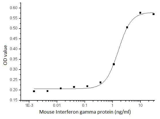 Mouse Interferon gamma protein, His tag (active)
