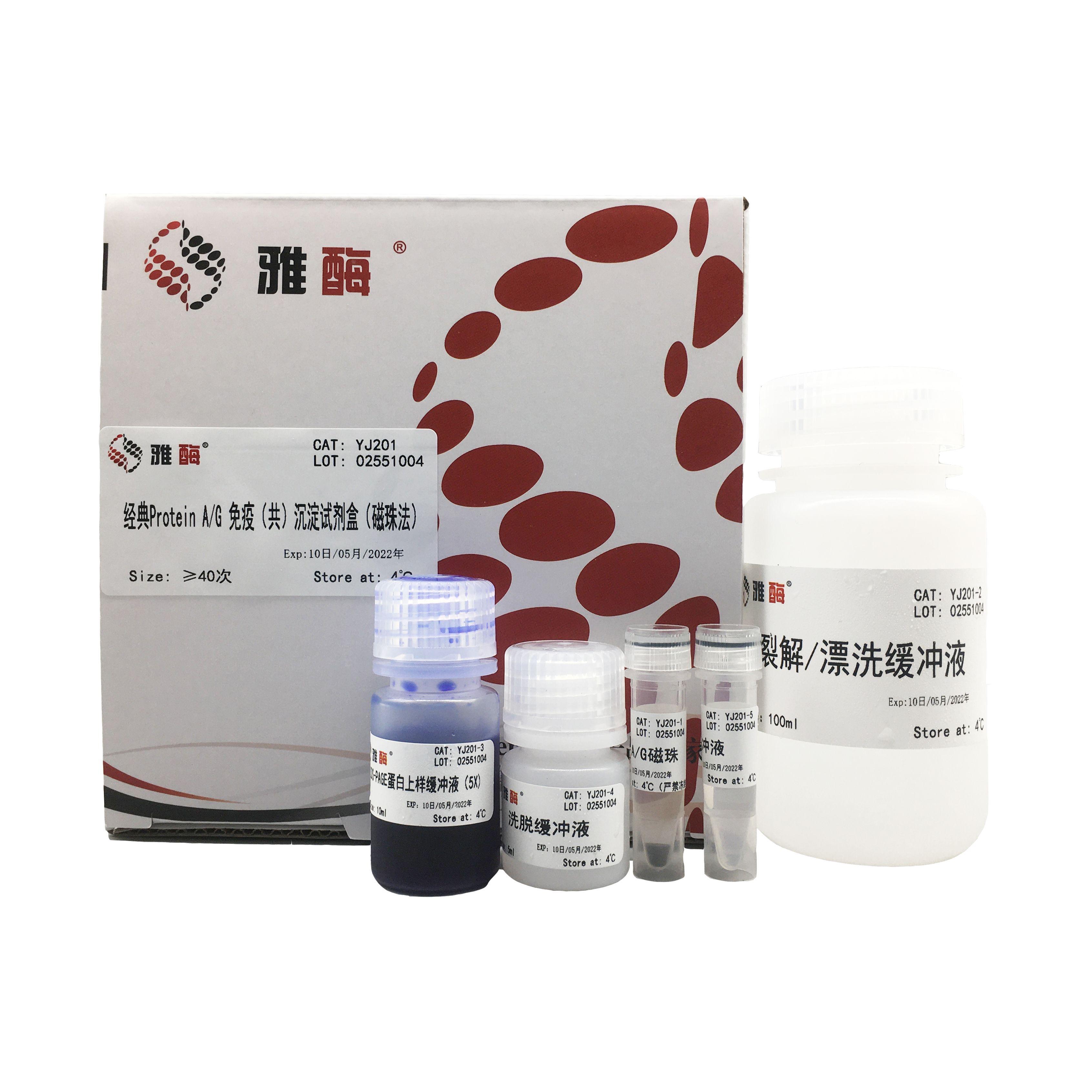 经典Protein A/G免疫(共)沉淀试剂盒(磁珠法)