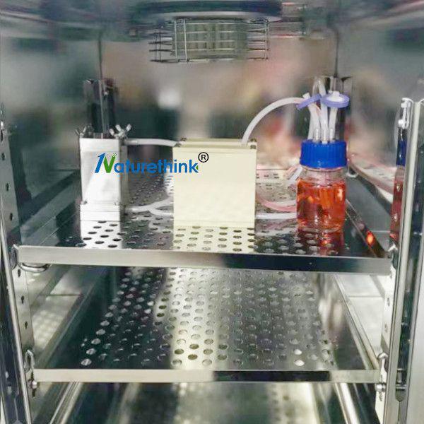 主动脉瓣壁面剪切应力刺激系统