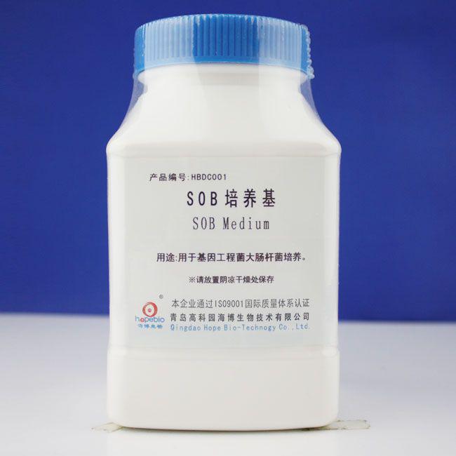 SOB培养基