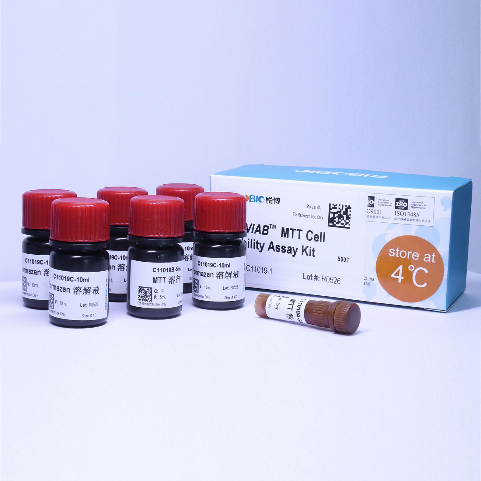 MTT细胞活性检测