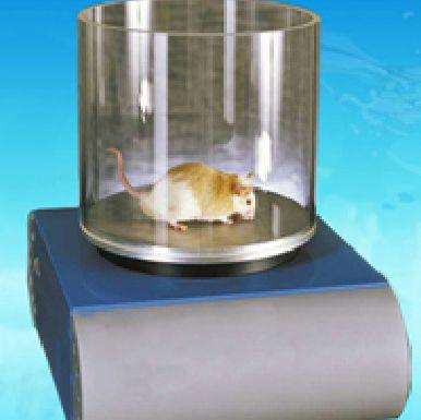 大小鼠疼痛自动分析系统、大小鼠疼痛分析系统，大小鼠疼痛实验系统、大小鼠炎症疼痛分析仪、小动物疼痛分析仪、大小鼠疼痛模型实验