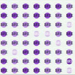 FMG1021-多病理类型乳腺癌组织芯片