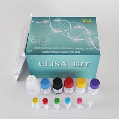 人免疫球蛋白A（IgA）试剂盒（ELISA）