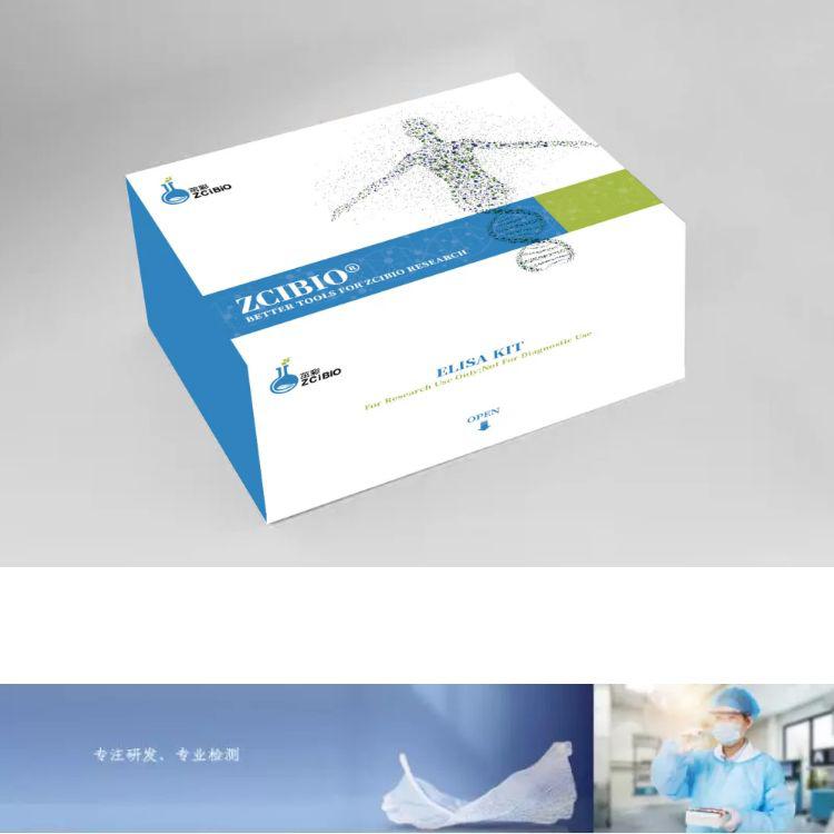 人磷脂酰丝氨酸(PS)ELISA试剂盒