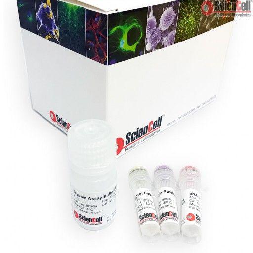 比色法胰蛋白酶活性检测试剂盒