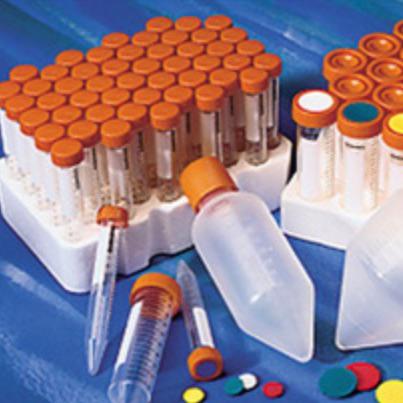 24孔板 透明 TC表面 带盖