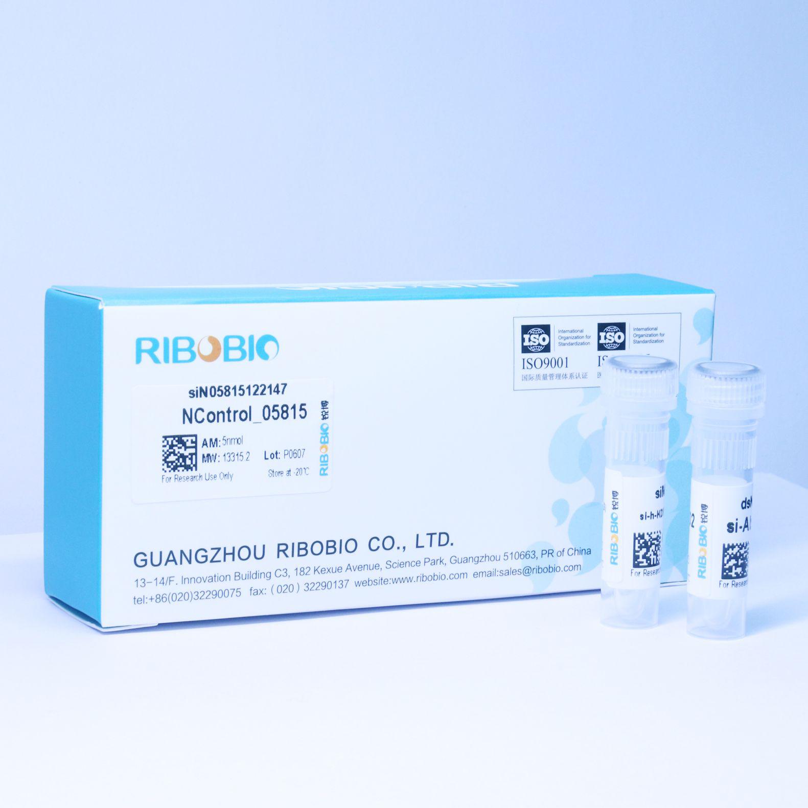 动物用in vivo siRNA和化学修饰siRNA