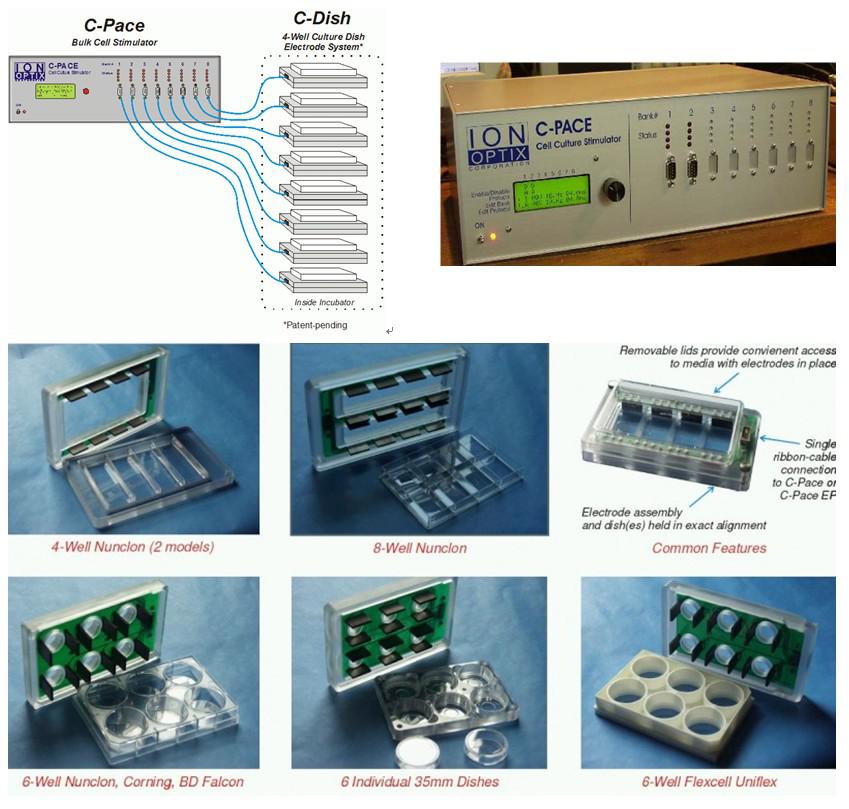 心肌细胞起搏培养系统