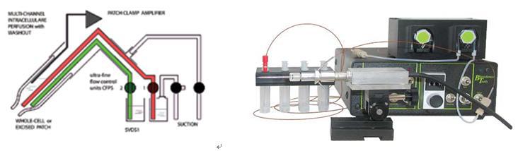 膜片钳细胞内注射换液器