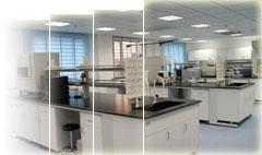 动物/植物/微生物样品粗提物的组分分布检测 —— 技术服务