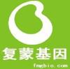 兔角膜后基质层成纤维细胞
