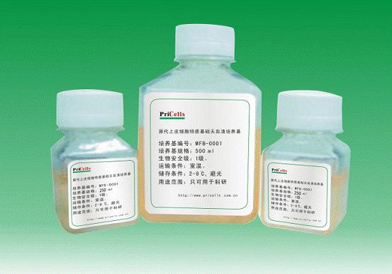 原代滑膜细胞特制基础无血清培养基