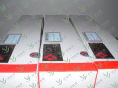 北京绿百草科技专业提供阳离子交换柱TSKGEL SCX（H+）