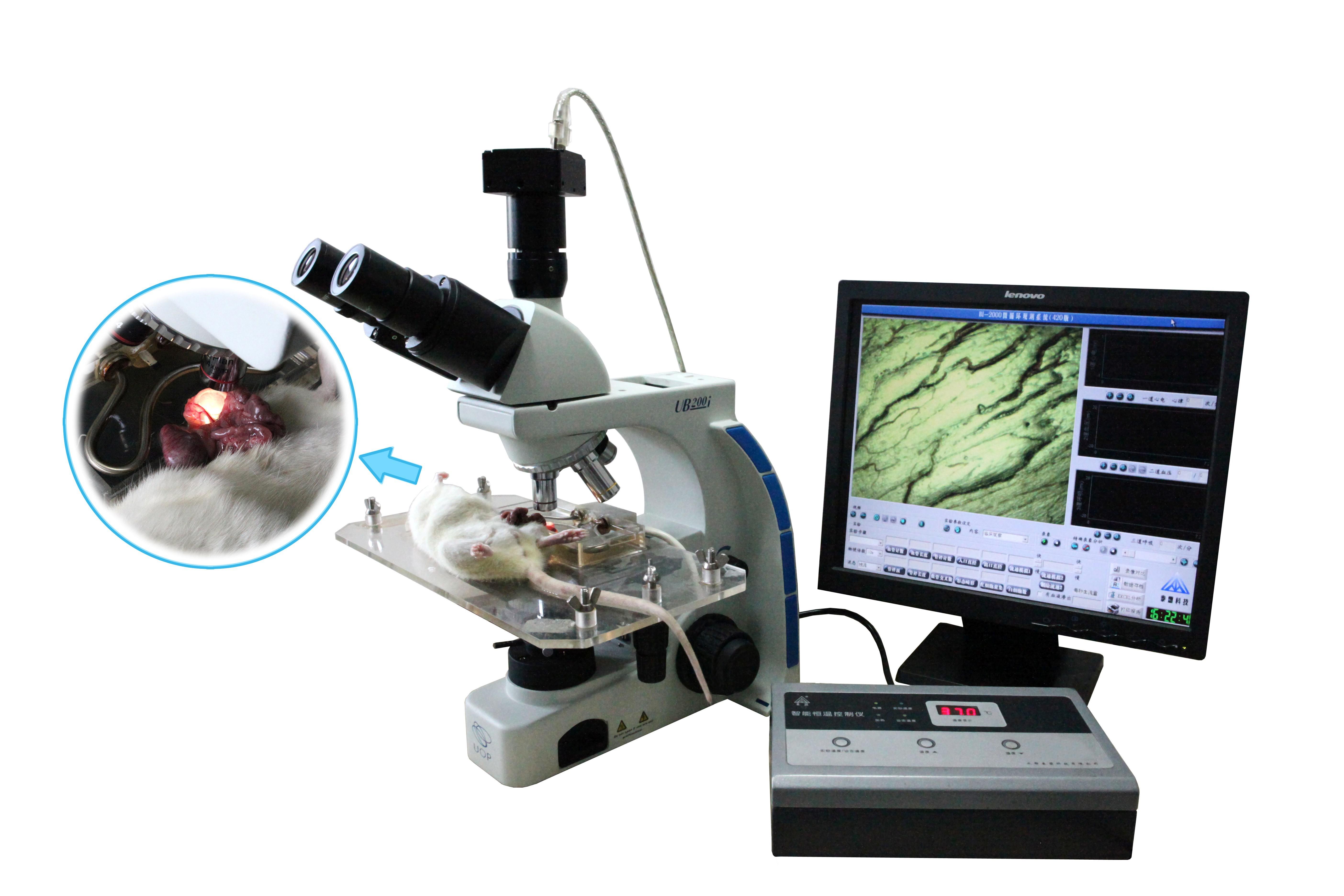 泰盟  医学图像分析系统BI-2000