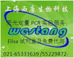 血管内皮生长因子受体3(VEGF-R3)试剂盒