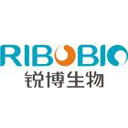 miRNA表达(质粒)载体构建服务