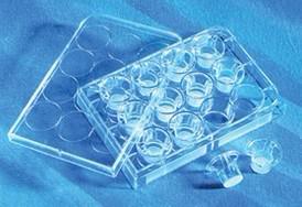 transwell 板 3422 24孔8um