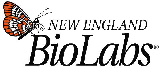 polyA Spin mRNA Isolation Kit