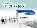 大鼠抗IVIgG抗体ELISA Kit，Rat anti-IVIgG antibody ELISA Kit