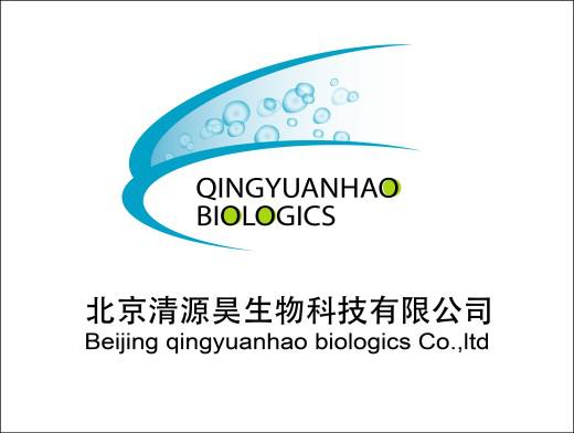 人脐静脉内皮细胞（原代）