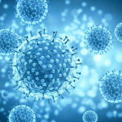 转铁蛋白修饰脂质体（多肽、氨基酸等表面修饰脂质体）