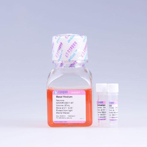 SD大鼠胎鼠皮层神经元完全培养基