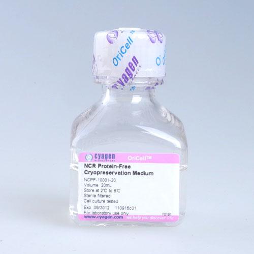 神经元细胞无蛋白非程序冻存液