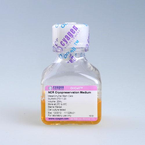 骨髓间质干细胞非程序冻存液
