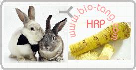 兔抗辣根过氧化物酶