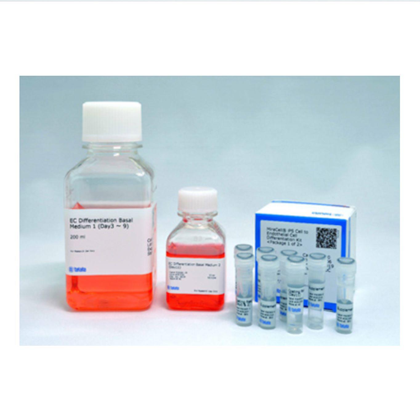 CellArtis Y40070 Human Neural Mid Forebrain Stem Cell Line Kit 人中、前脑神经干细胞无血清培养基
