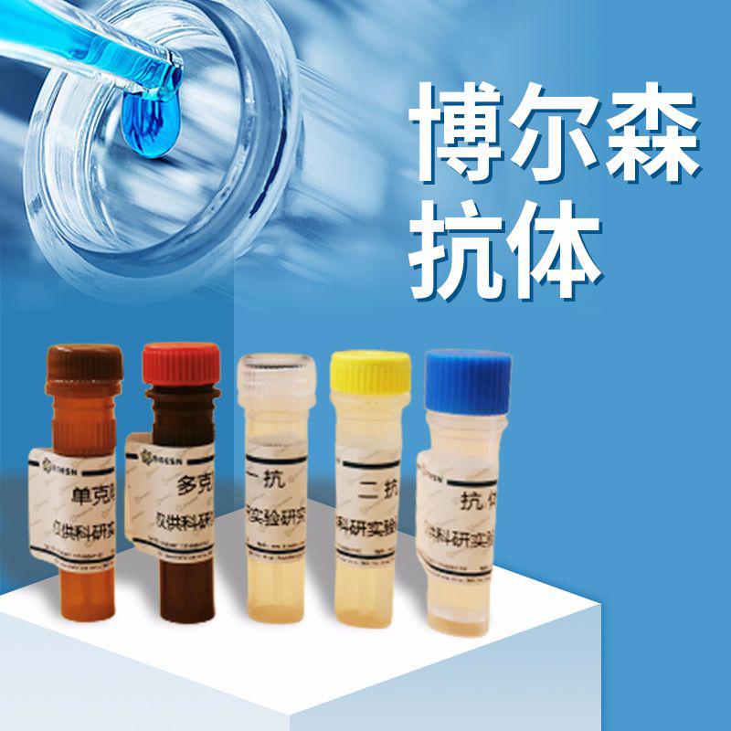 FITC标记山羊抗兔IgG(H+L)