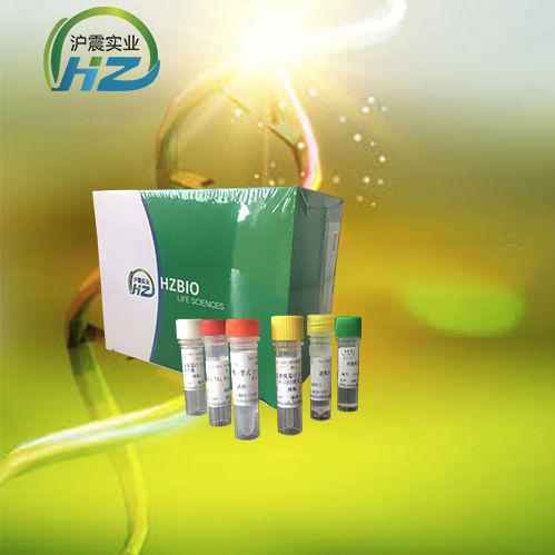 线颈细颈线虫染料法荧光定量PCR试剂盒