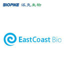 Pneumonia Virus of Mice (PVM) Antigen