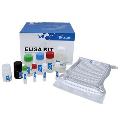 C5a ELISA试剂盒|小鼠补体片断5a(C5a)ELISA Kit/Mouse Complement fragment 5a,C5a ELISA Kit