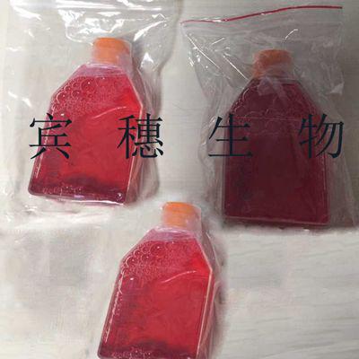 L M (TK-) Cells;小鼠结缔组织体外培养细胞|配套完全培养基