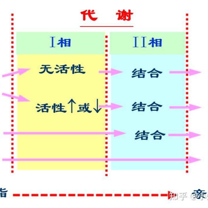 ADME分析服务|ADME研究|靶点筛选服务|药物代谢稳定性服务|药物代谢稳定性检测 