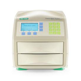 Bio-rad伯乐Trans-Blot Turbo全能型蛋白快速转印系统