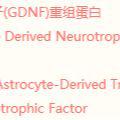胶质细胞系来源神经营养因子(GDNF)重组蛋白（小鼠）