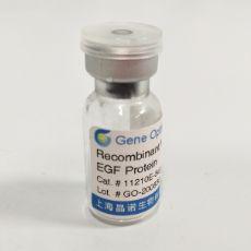 Recombinant Human EGF Protein