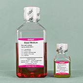 人脐血间质干细胞完全培养基