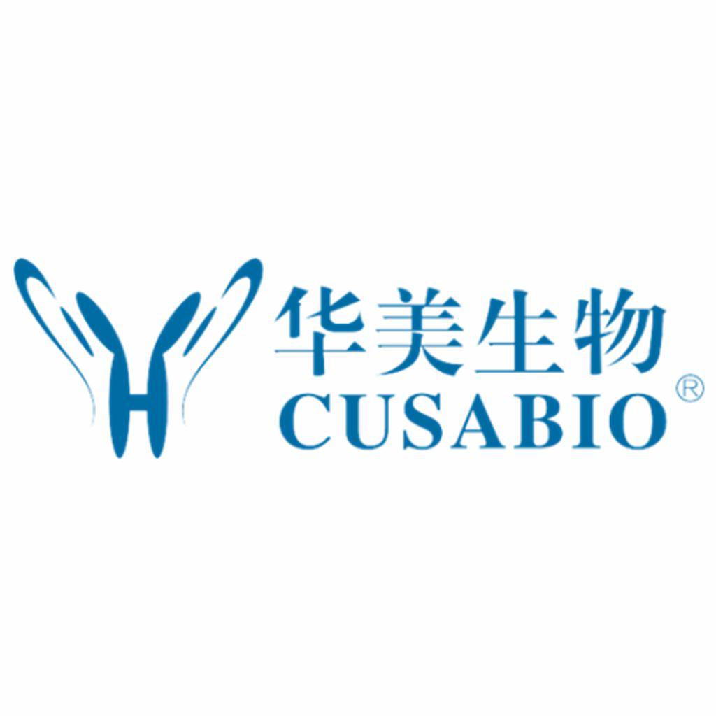 Chtop|Chtop蛋白|Chtop小鼠蛋白|Chtop Mouse Protein 重组蛋白