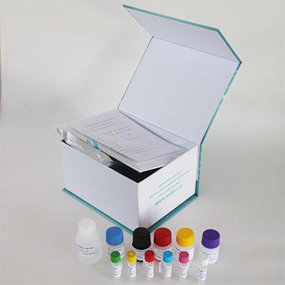 人雌二醇（E2）ELISA试剂盒