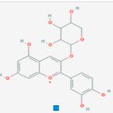 矢车菊素-3-阿拉伯糖苷