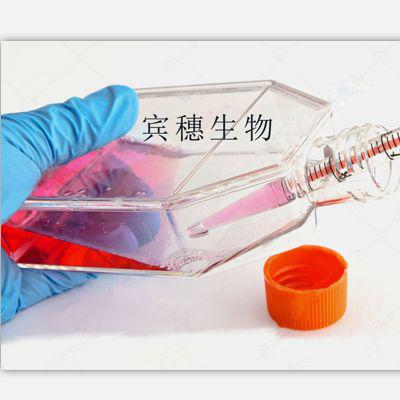 嗜热脂肪杆菌恢复琼脂基础培养基厂家直销