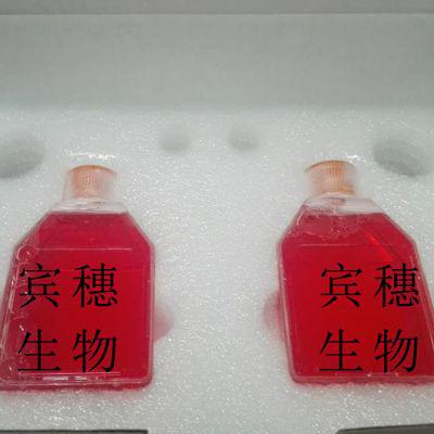 Duck embryo Cells;鸭子胚胎成纤维体外血清培养细胞|配套完全培养基