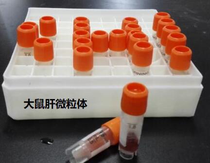 研选大鼠肝微粒体