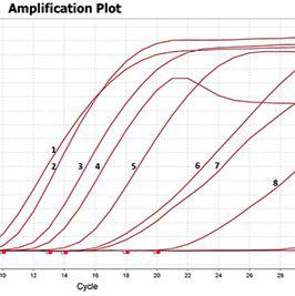 鸽新城疫病毒检测试剂盒（恒温LAMP-TaqMan荧光法）